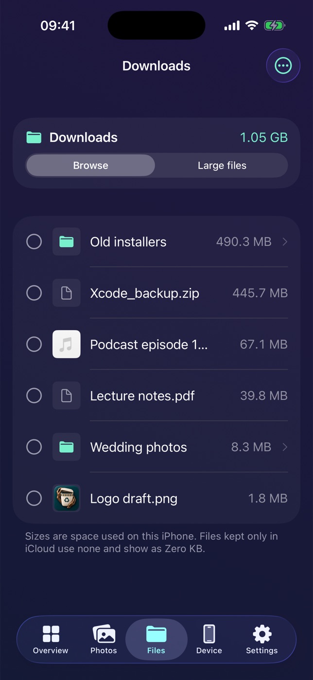Files browser sorted by size