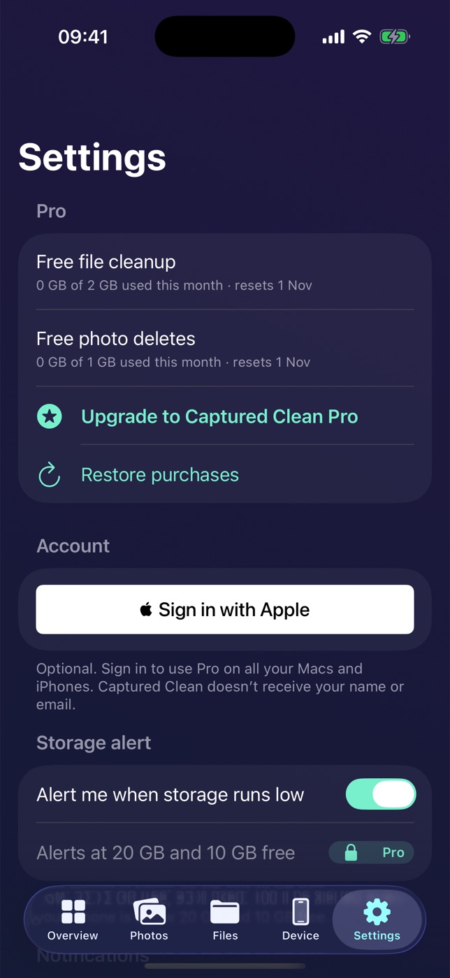 Settings with storage alert, large file size and themes